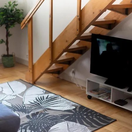 Grand T1 Proche Promenade Des Appartement