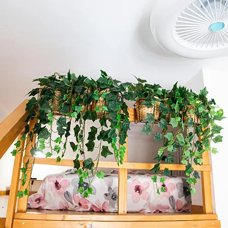 Grand T1 Proche Promenade Des *