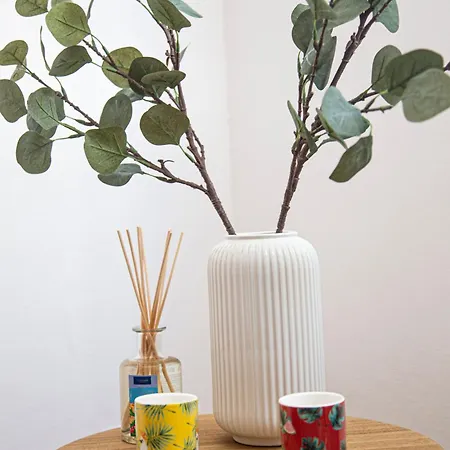 Grand T1 Proche Promenade Des * Nice