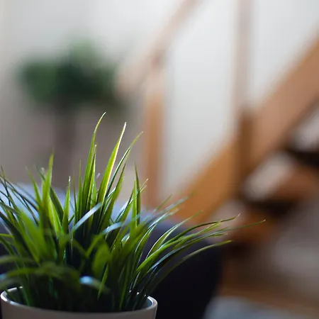 Appartement Grand T1 Proche Promenade Des