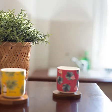 Grand T1 Proche Promenade Des *